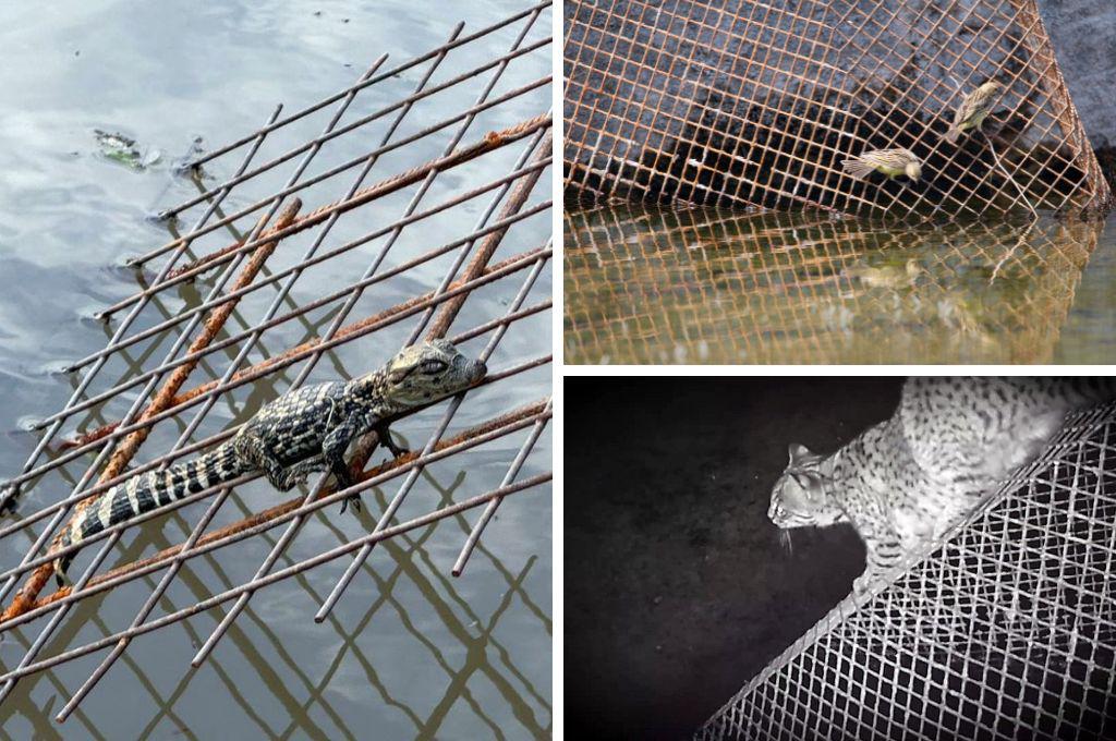 WhatsApp Image 2024-07-02 at 4.07.30 PM