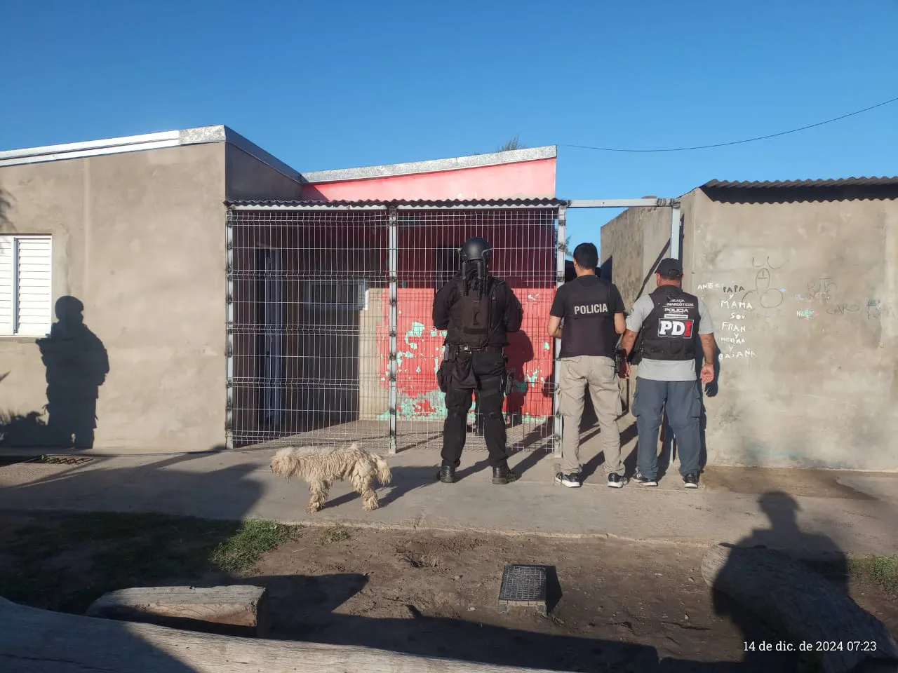 WhatsApp Image 2024-12-14 at 7.17.24 PM