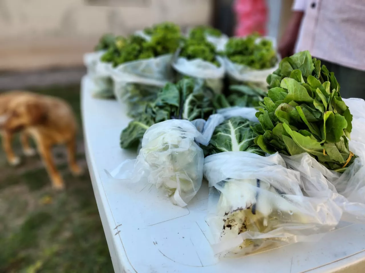 312844671_1522490694839780_3736163282439014450_n