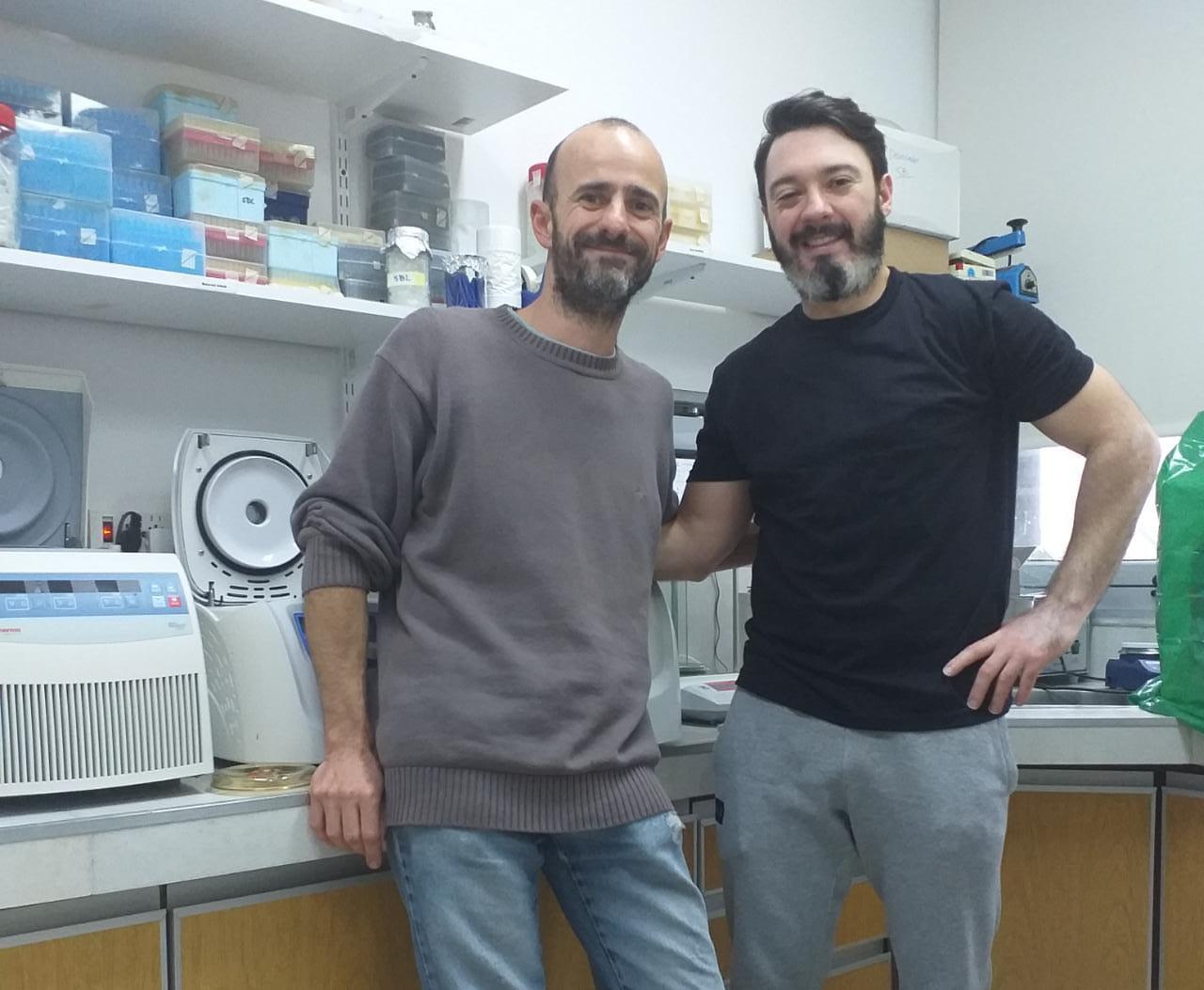 lab