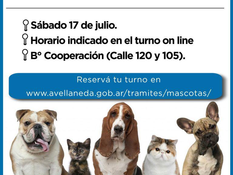 mascotas-17-jul-21-768x576