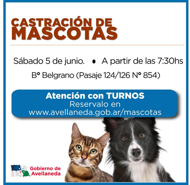 castrac-mascotas-5-jun-1