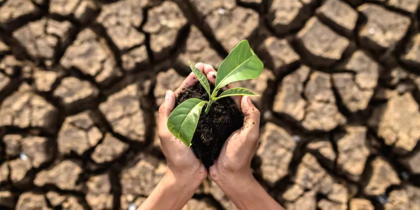 soil-degradation.jpg