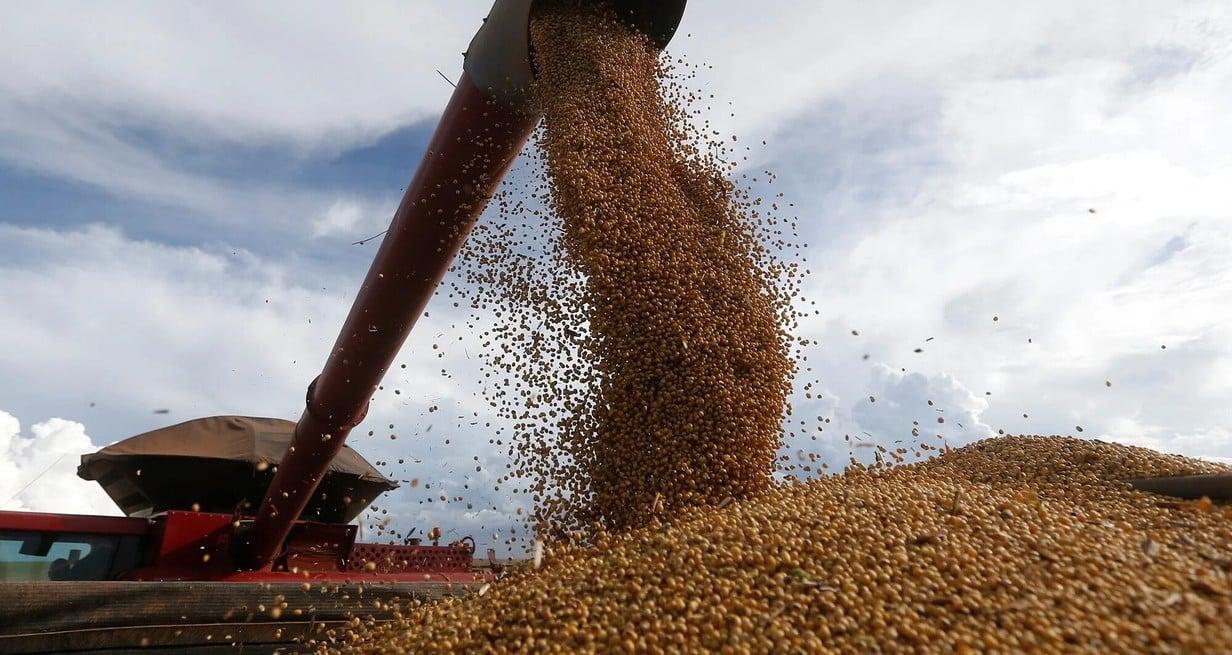 zxonpLz7N_1300x655__2