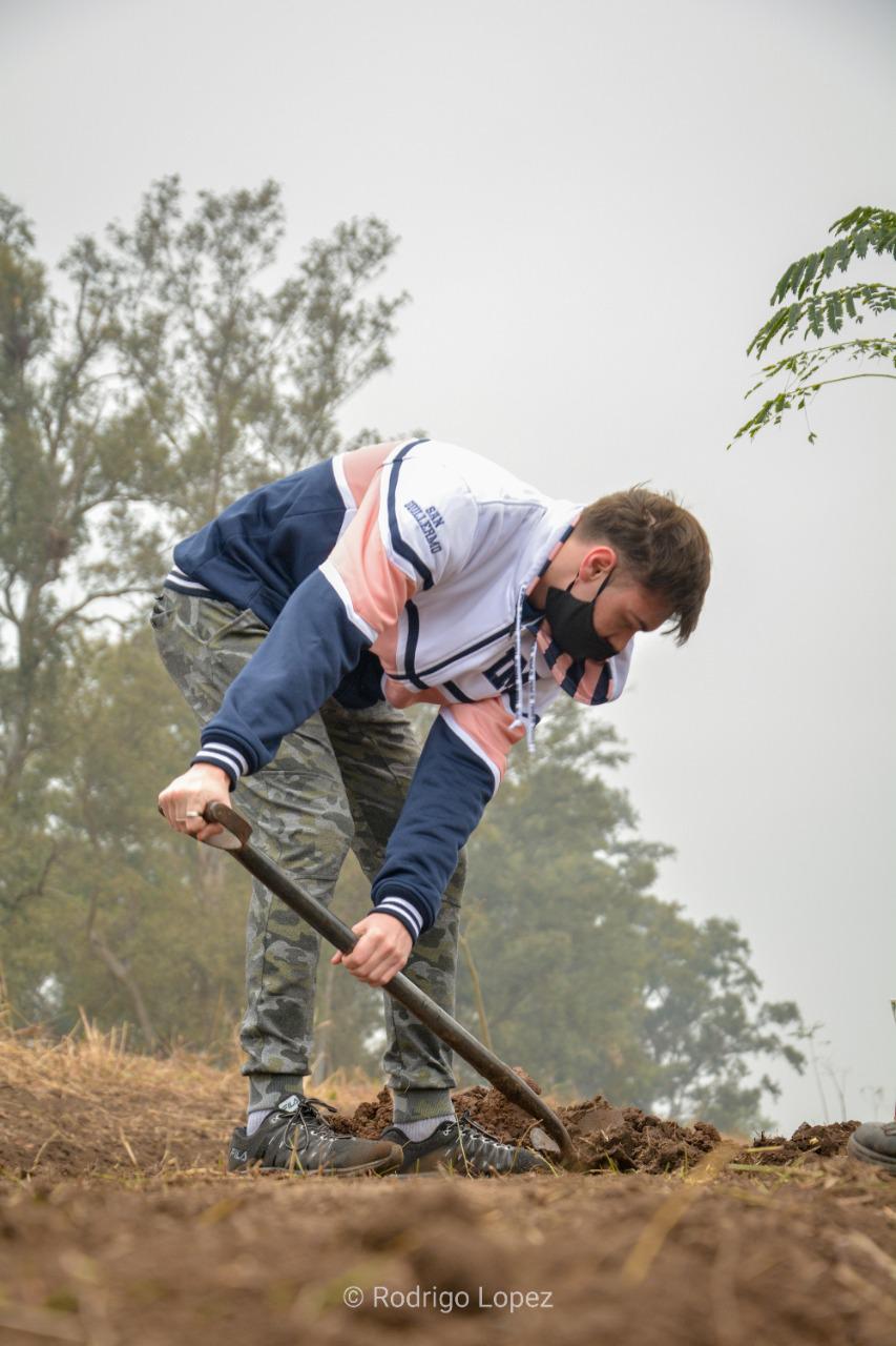 arboles promo 2020 1