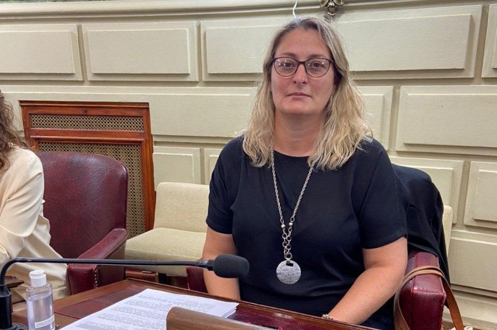 457453_diputada_silvia_ciancio_recinto_1024_x_680-1