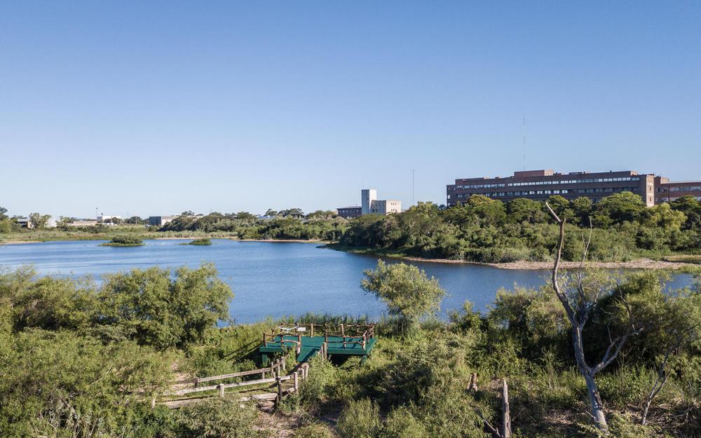 01_Mirador_Laguna_Reserva_UNL