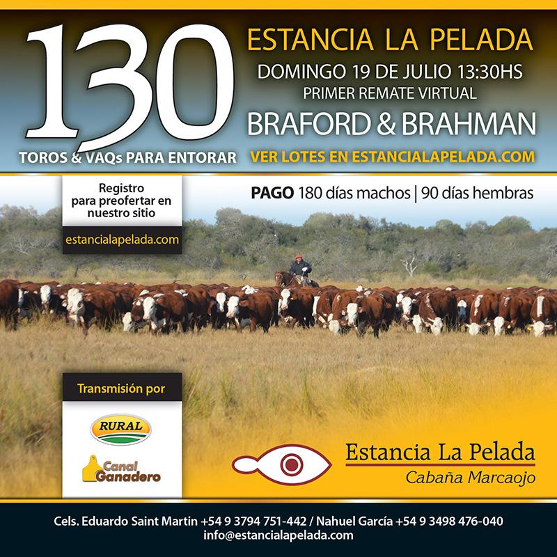 MAIL_300620