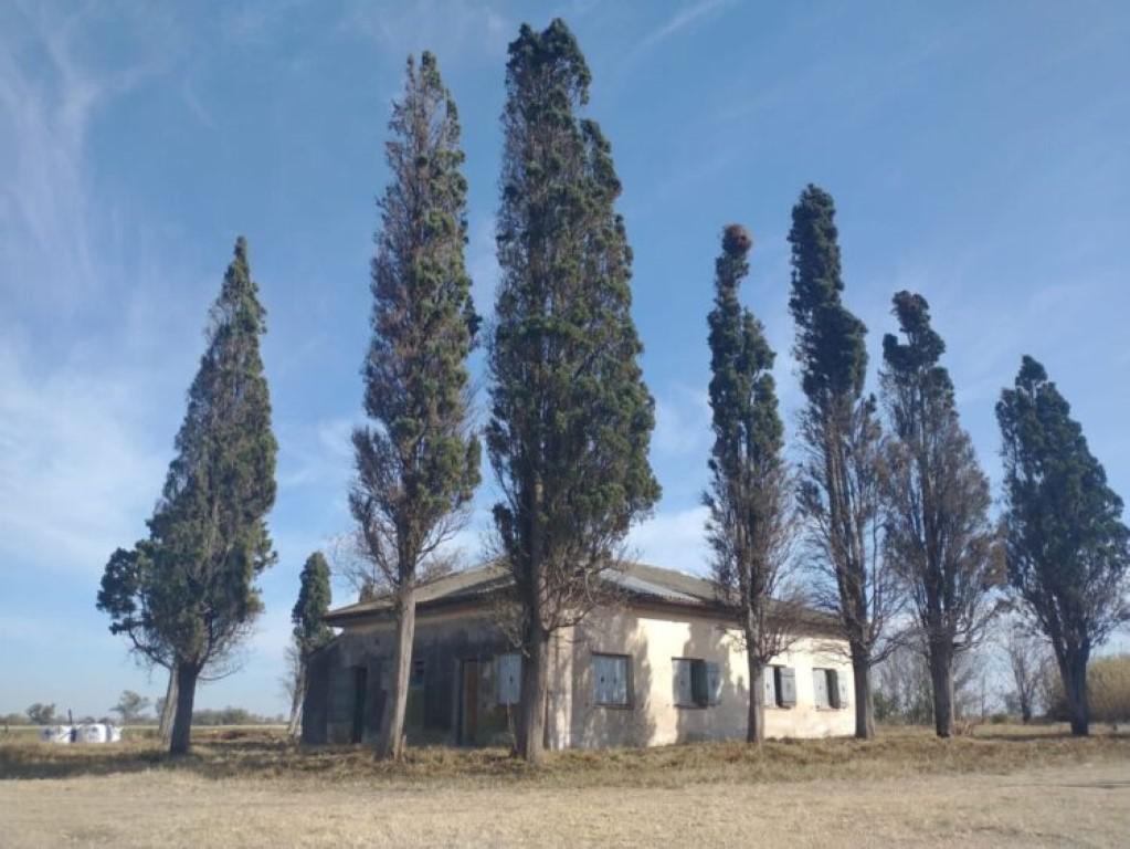 WhatsApp-Image-2021-08-19-at-13.51.39-750x563