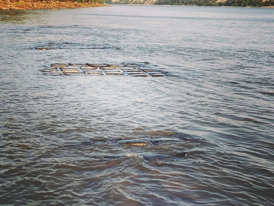 PARANA-HACIA-EL-MUNDO