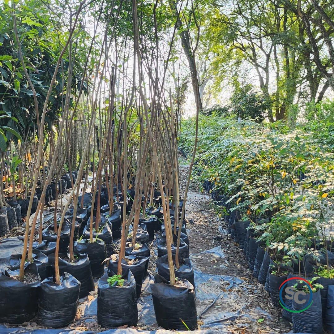 448311259_472094088554935_7293130795202408553_n