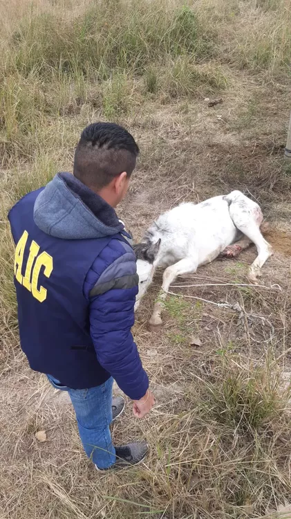 3C09A19C-1CC9-445D-8961-247604BAF716