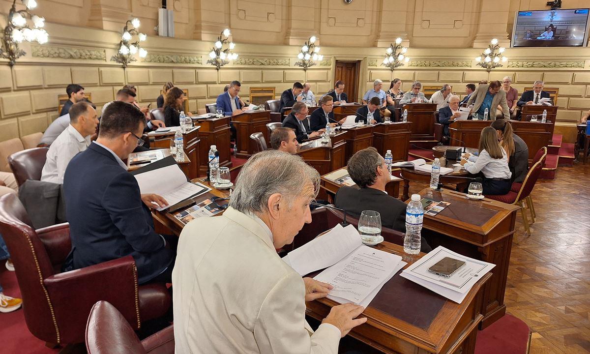 sesion-senado-1