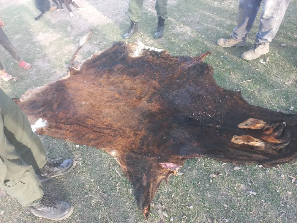 SECCION N°34 CERES.-