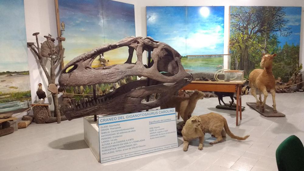 museo