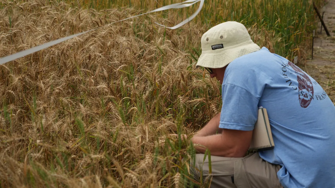 WhatsApp Image 2025-05-15 at 14.11.30