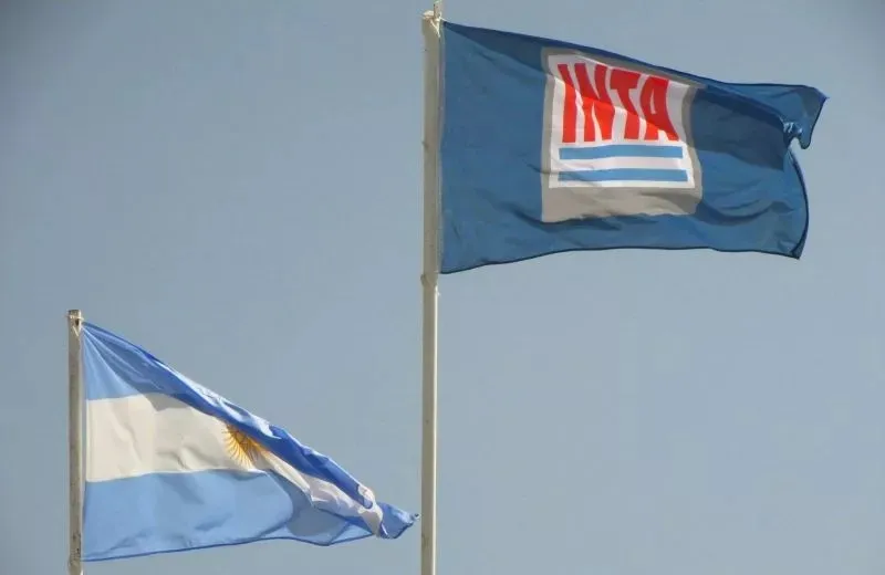 WhatsApp-Image-2025-08-12-at-10.17.52