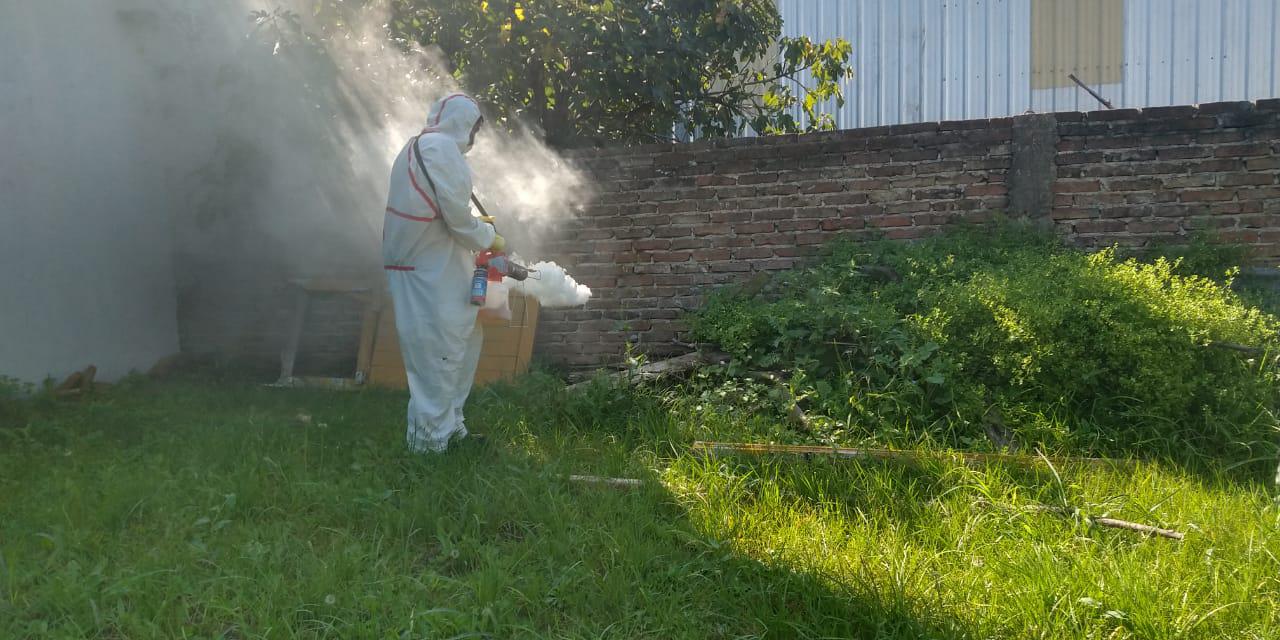 Fumigación Dengue 1