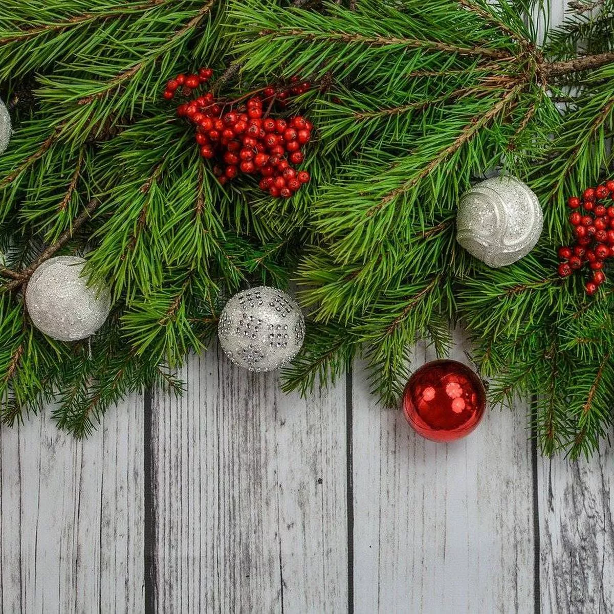 navidad