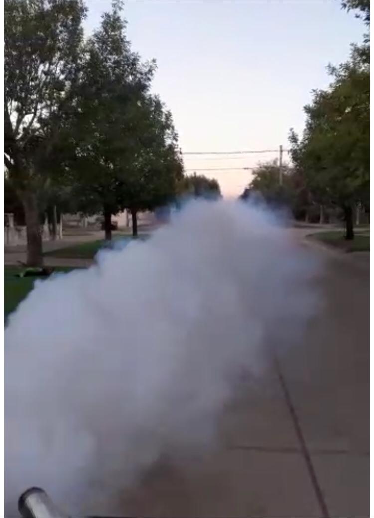 WhatsApp Image 2020-04-22 at 20.33.57