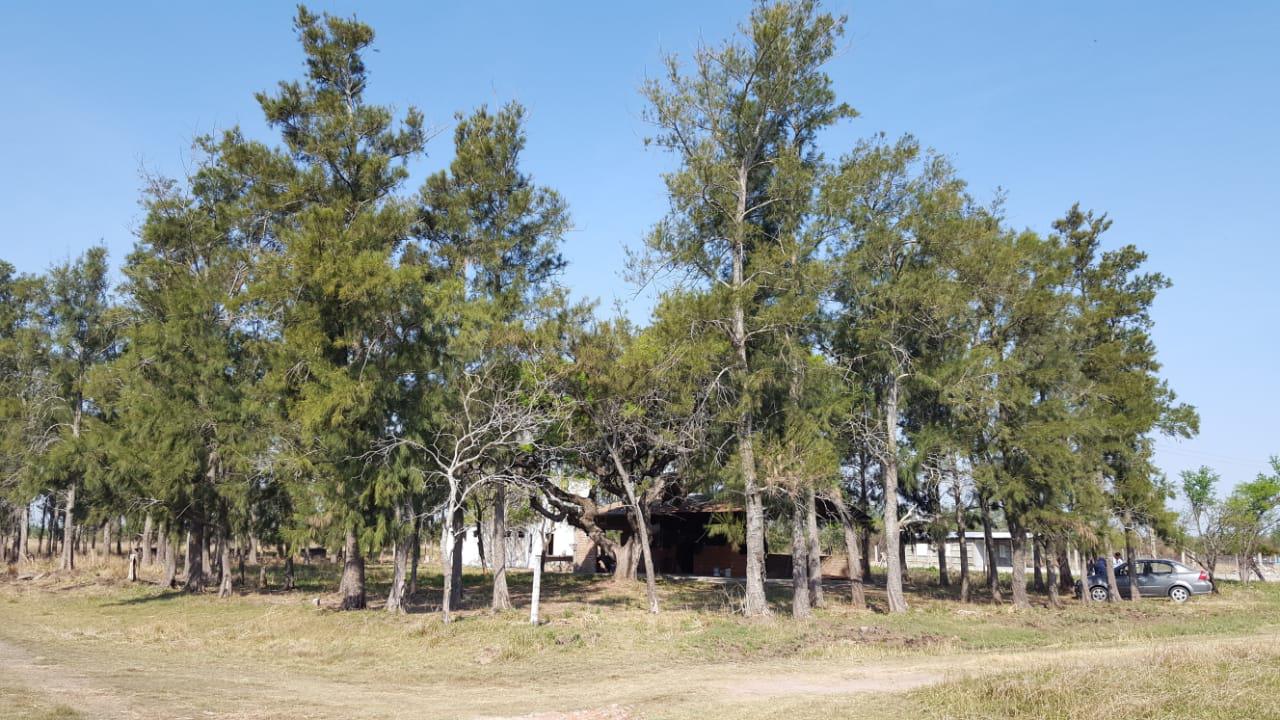 WhatsApp Image 2020-11-07 at 19.51.47