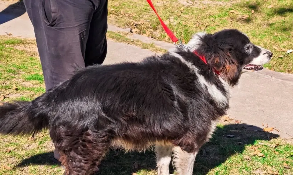 496783153_18040718036631309_6150767232594971482_n