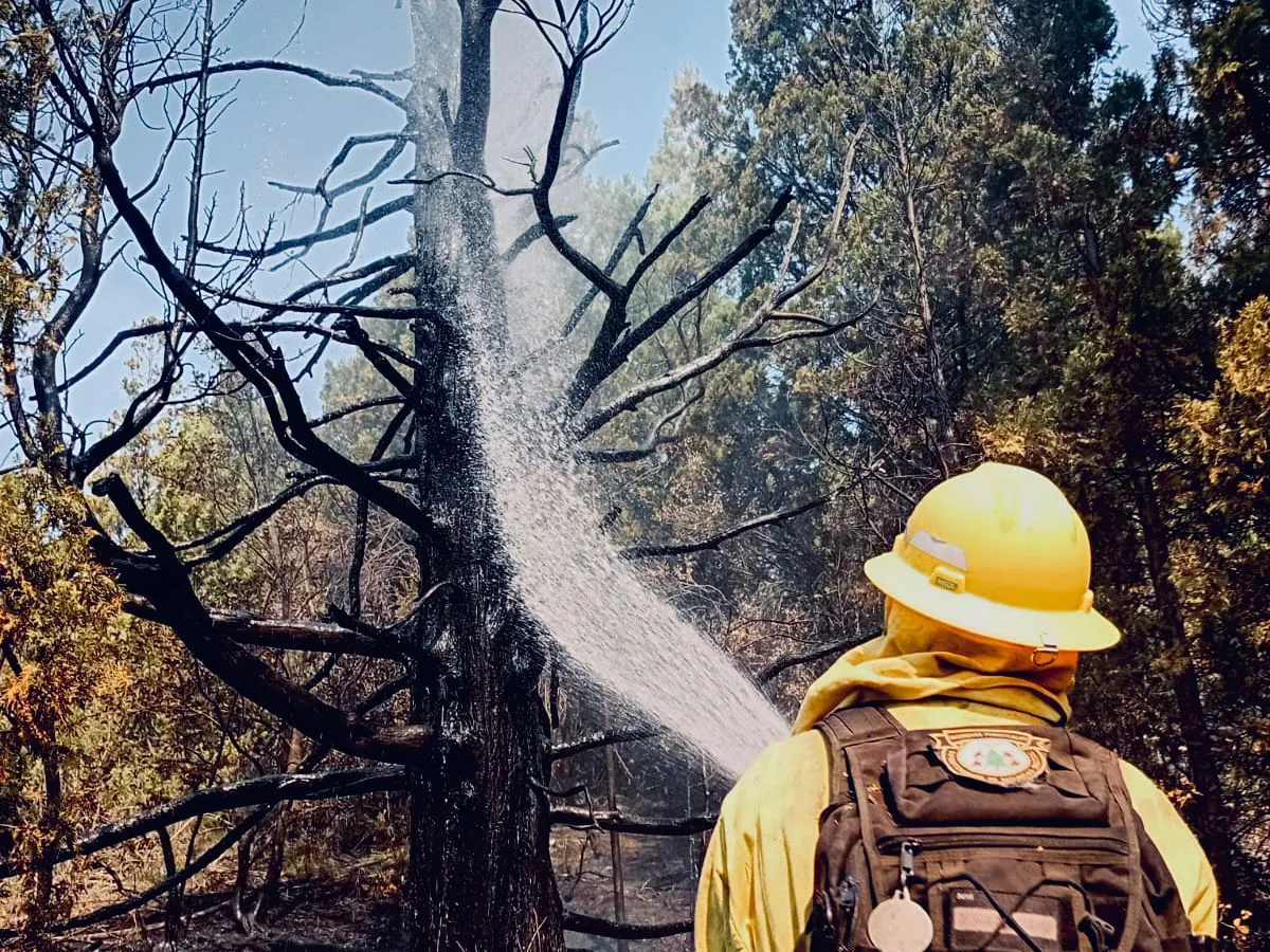 WhatsApp Image 2026-02-03 at 5.17.32 PM