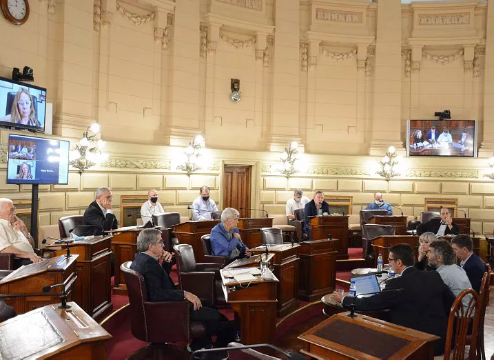 18707-senadores-caussi