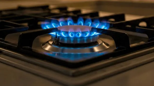 gas-hornalla