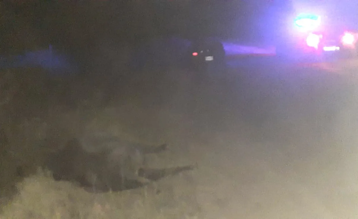 5a7037ab-535b-4d16-932a-ea7c2c7c5e57