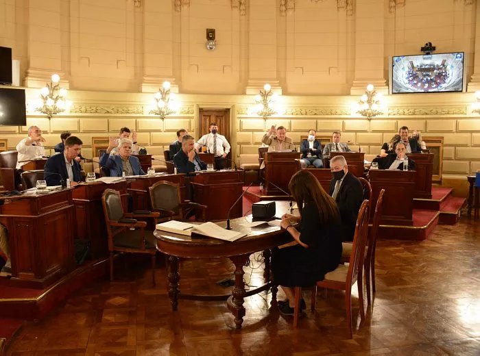 senado