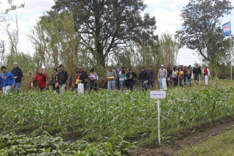 script-img-img_9409a_1-e1474380261884