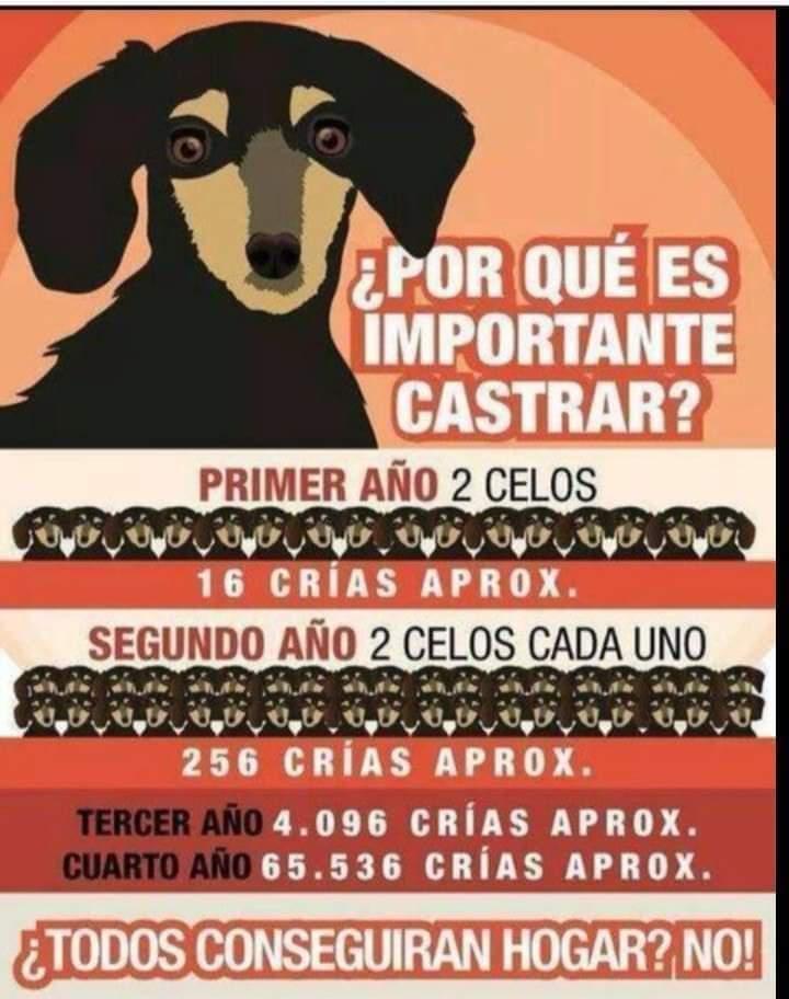 FB_IMG_1635285294313