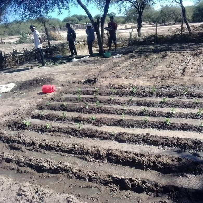 FB_IMG_1623100884864