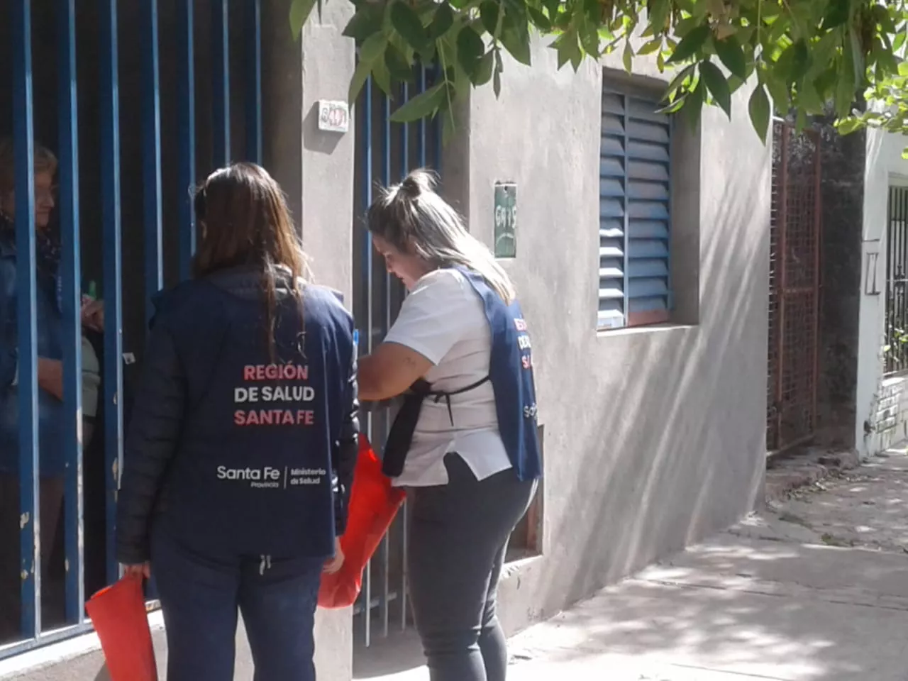 dengue