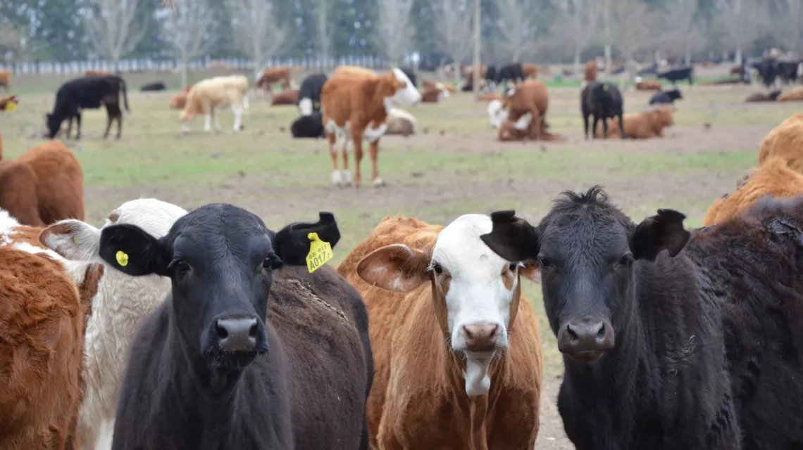 2022-11-08NID_276501O_1