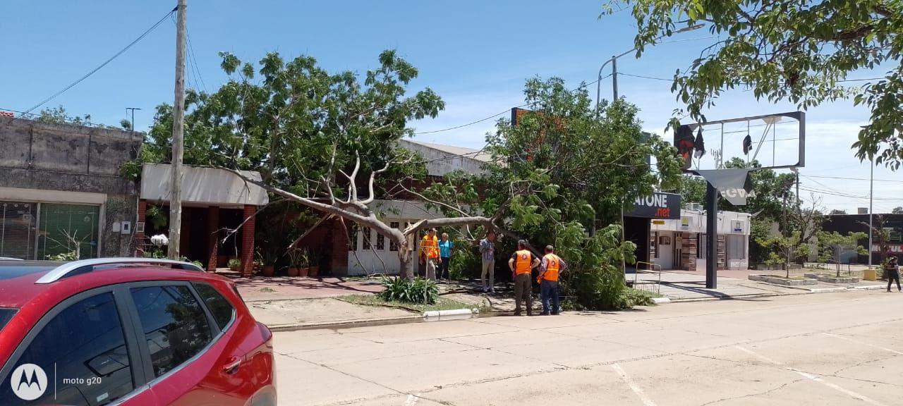 2023-12-29NID_279501O_4