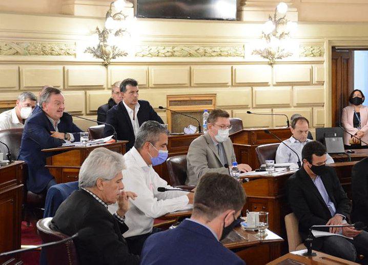 17504-senadores3