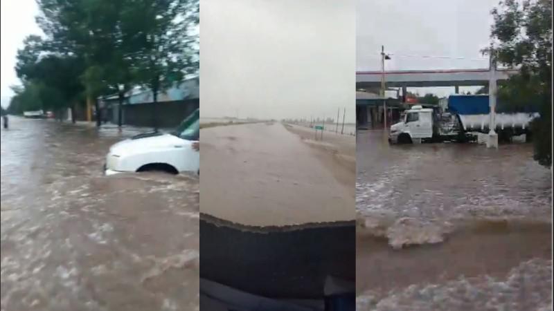 trebolinundado.jpg_1756841869