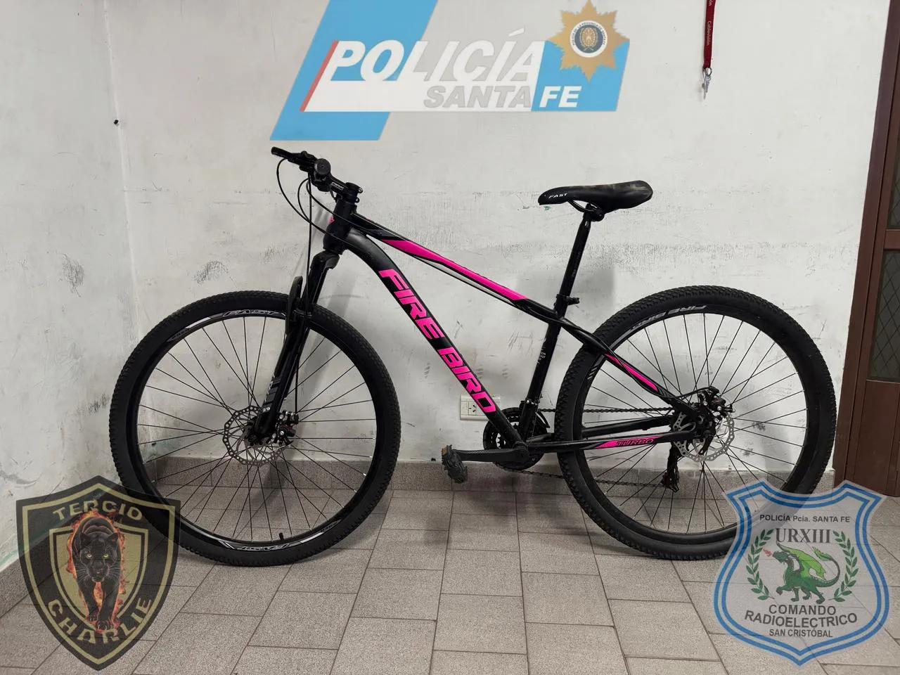 WhatsApp Image 2026-02-09 at 9.37.5