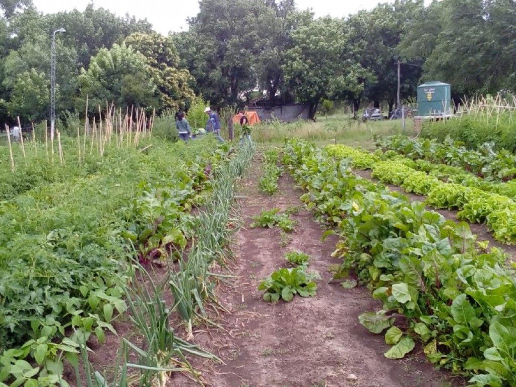 huerta