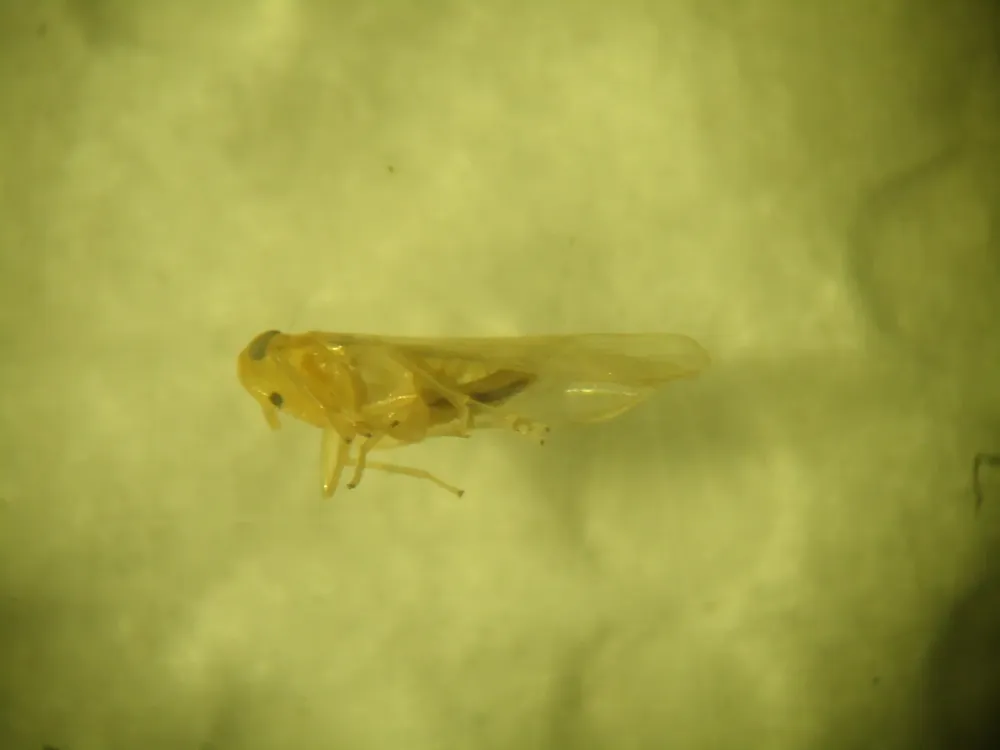 WhatsApp Image 2024-10-10 at 12.45.00 PM