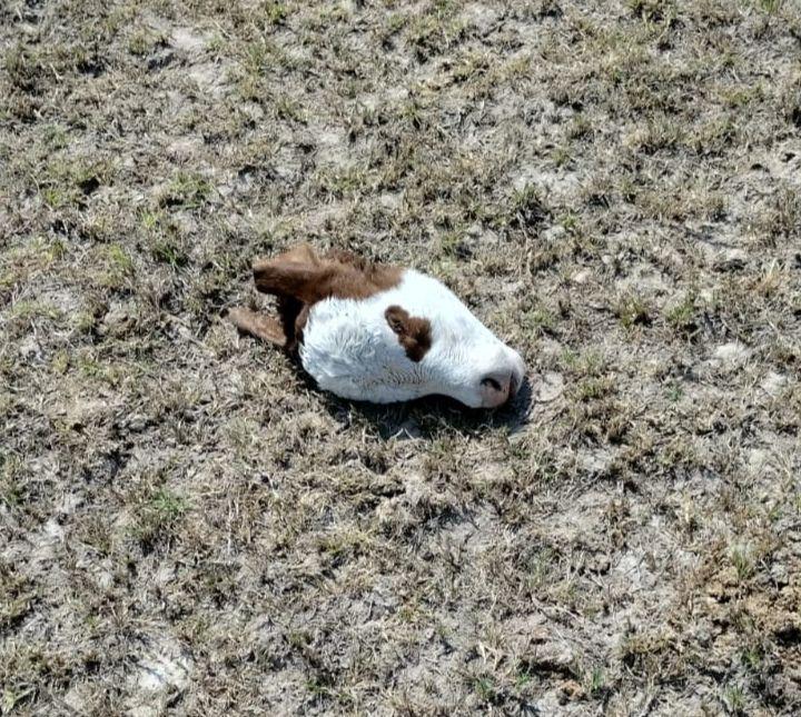 e5d03fde-9043-427e-8f3b-b518f7486170